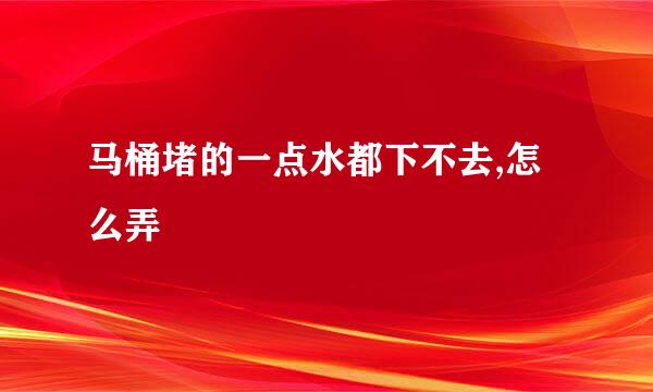 马桶堵的一点水都下不去,怎么弄