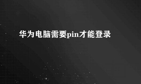 华为电脑需要pin才能登录