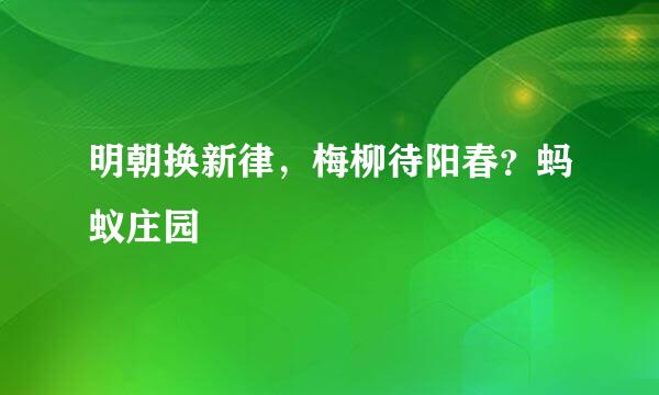 明朝换新律，梅柳待阳春？蚂蚁庄园