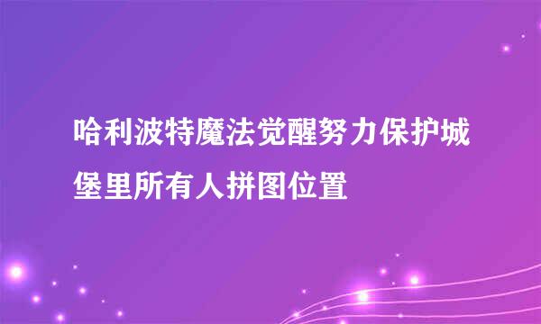 哈利波特魔法觉醒努力保护城堡里所有人拼图位置