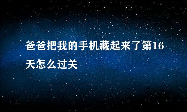 爸爸把我的手机藏起来了第16天怎么过关