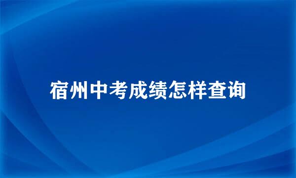 宿州中考成绩怎样查询