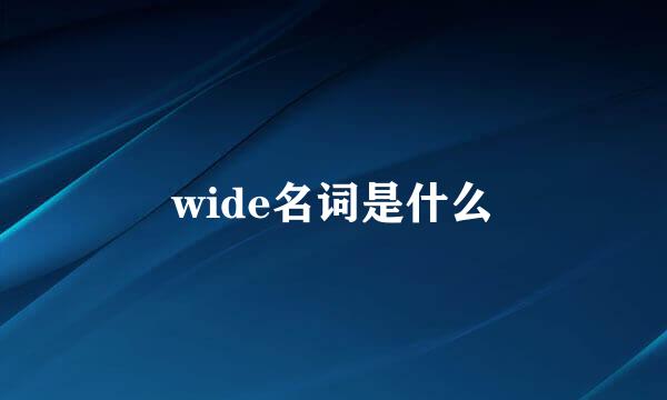 wide名词是什么