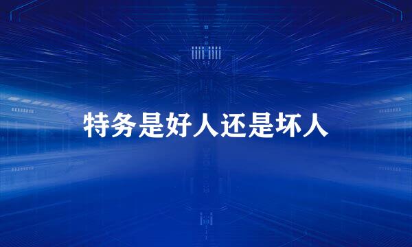 特务是好人还是坏人