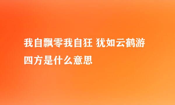 我自飘零我自狂 犹如云鹤游四方是什么意思