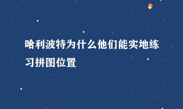 哈利波特为什么他们能实地练习拼图位置