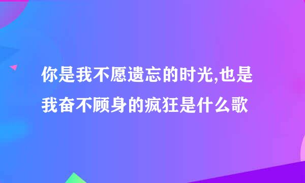 你是我不愿遗忘的时光,也是我奋不顾身的疯狂是什么歌