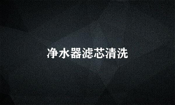 净水器滤芯清洗