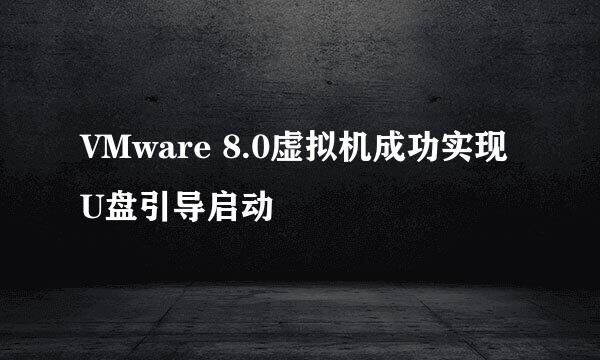 VMware 8.0虚拟机成功实现U盘引导启动