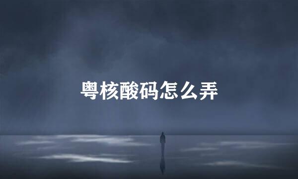 粤核酸码怎么弄