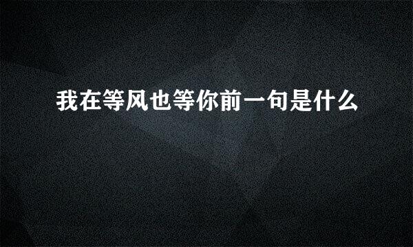 我在等风也等你前一句是什么