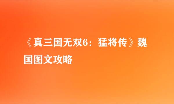 《真三国无双6：猛将传》魏国图文攻略
