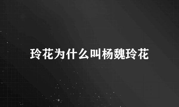 玲花为什么叫杨魏玲花