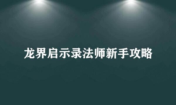 龙界启示录法师新手攻略