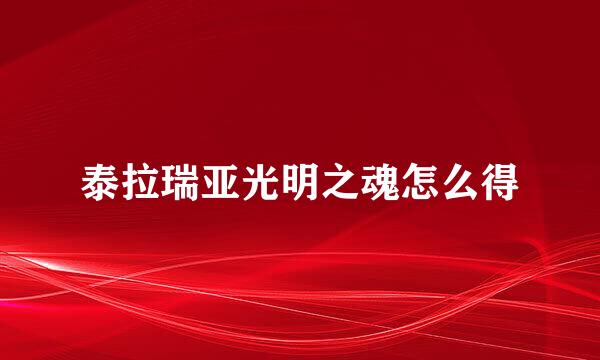 泰拉瑞亚光明之魂怎么得