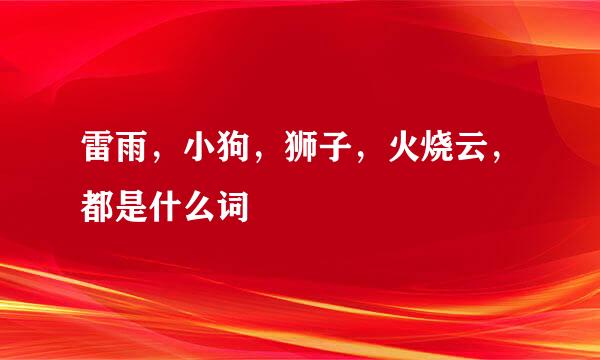 雷雨，小狗，狮子，火烧云，都是什么词