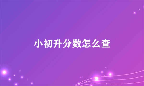 小初升分数怎么查
