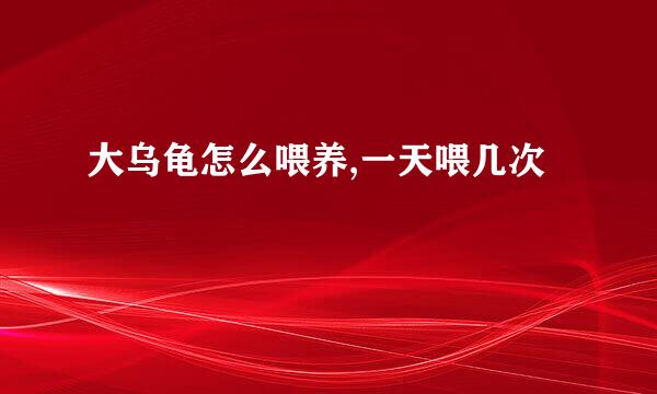 大乌龟怎么喂养,一天喂几次