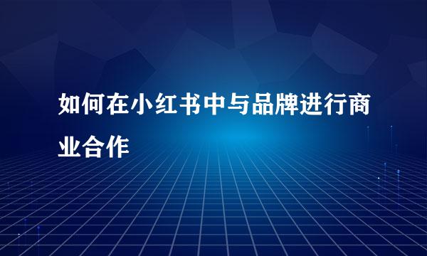 如何在小红书中与品牌进行商业合作