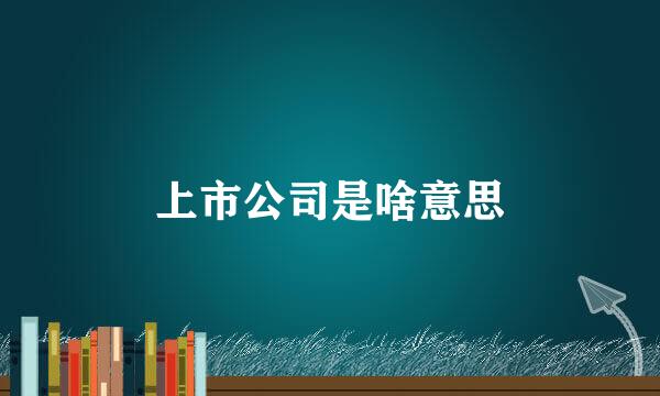 上市公司是啥意思