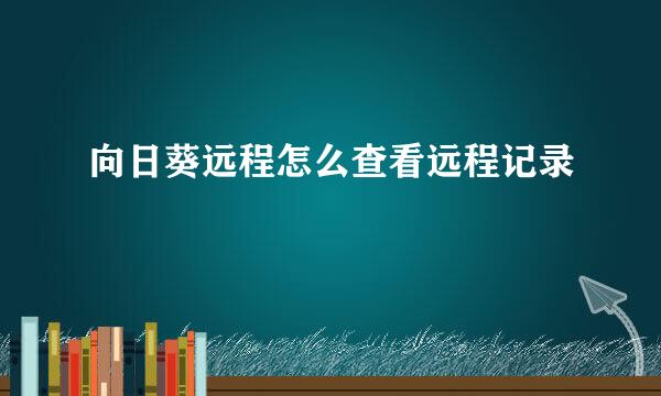 向日葵远程怎么查看远程记录