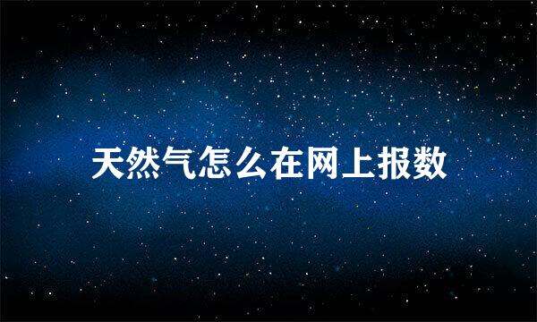 天然气怎么在网上报数