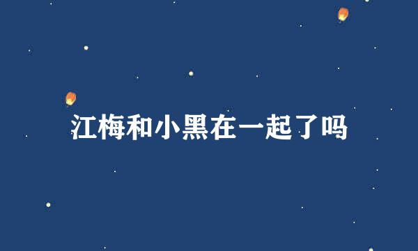江梅和小黑在一起了吗