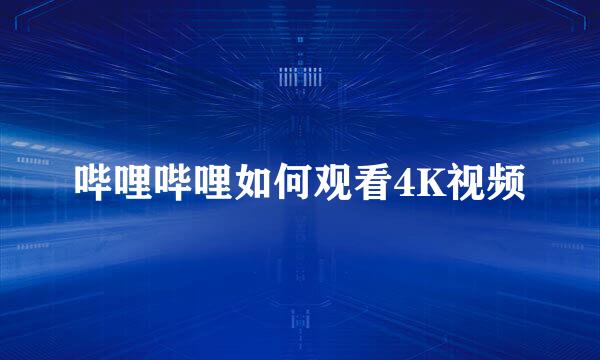 哔哩哔哩如何观看4K视频