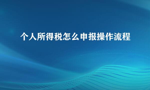 个人所得税怎么申报操作流程