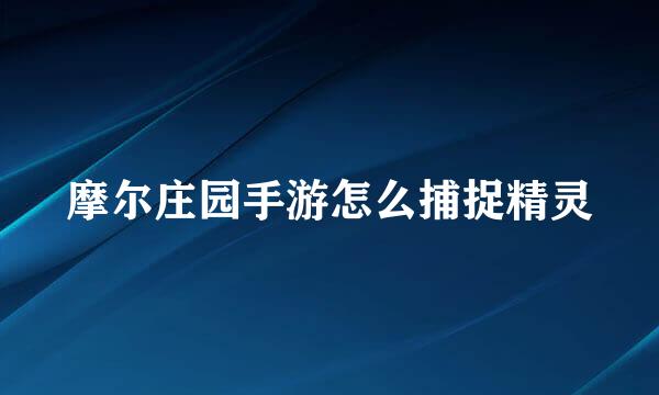 摩尔庄园手游怎么捕捉精灵