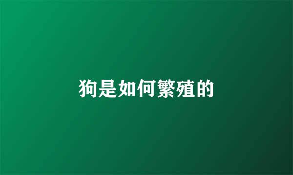 狗是如何繁殖的