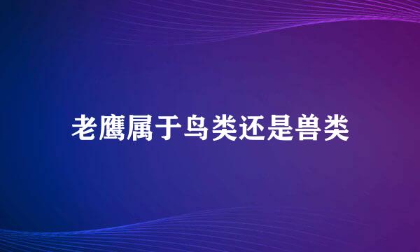 老鹰属于鸟类还是兽类
