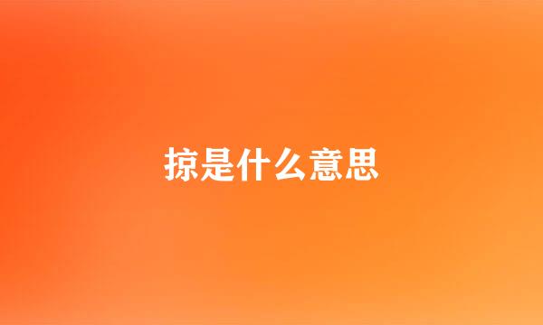 掠是什么意思