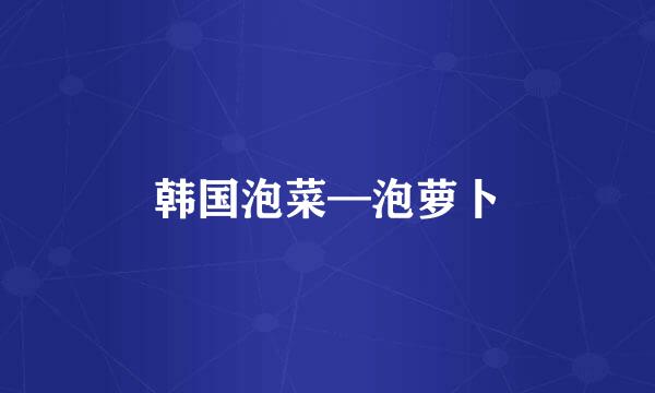 韩国泡菜—泡萝卜