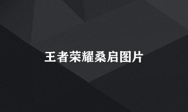 王者荣耀桑启图片