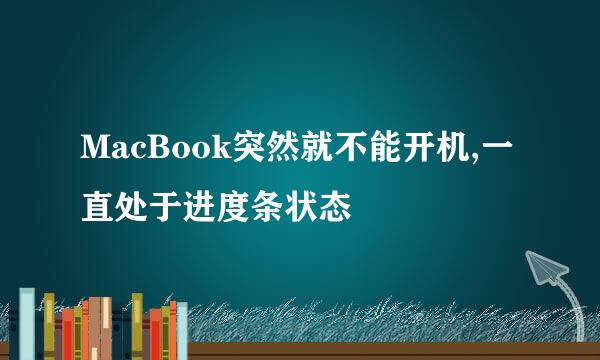 MacBook突然就不能开机,一直处于进度条状态