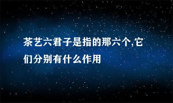 茶艺六君子是指的那六个,它们分别有什么作用