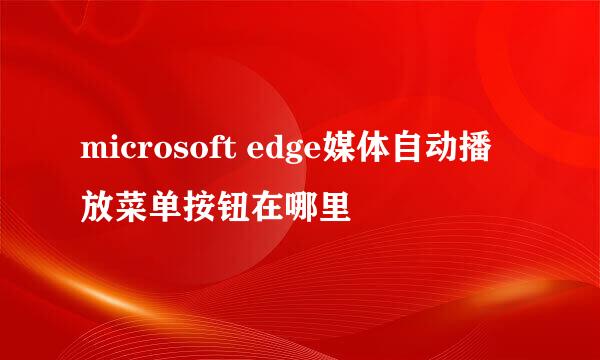 microsoft edge媒体自动播放菜单按钮在哪里