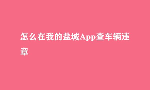 怎么在我的盐城App查车辆违章