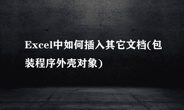 Excel中如何插入其它文档(包装程序外壳对象)