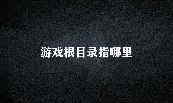 游戏根目录指哪里