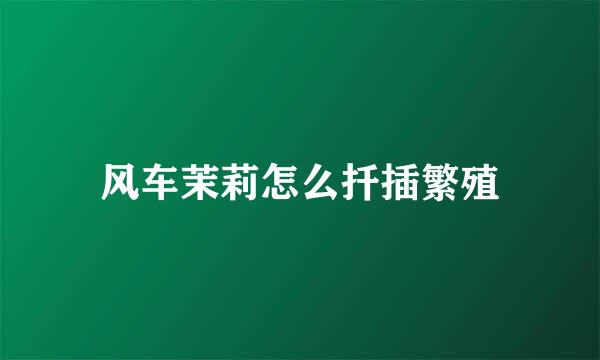 风车茉莉怎么扦插繁殖