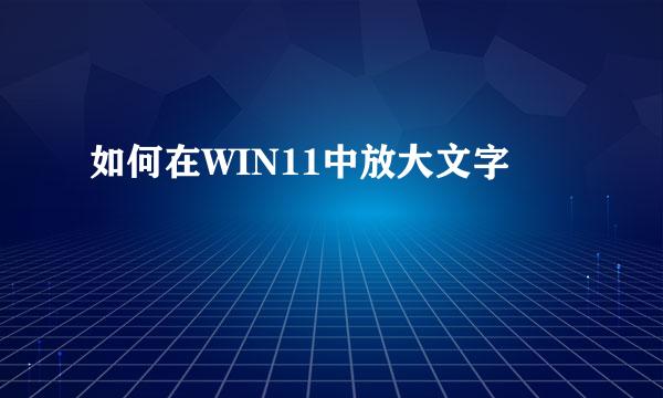 如何在WIN11中放大文字