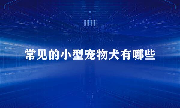 常见的小型宠物犬有哪些