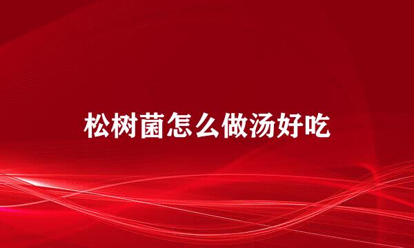 松树菌怎么做汤好吃