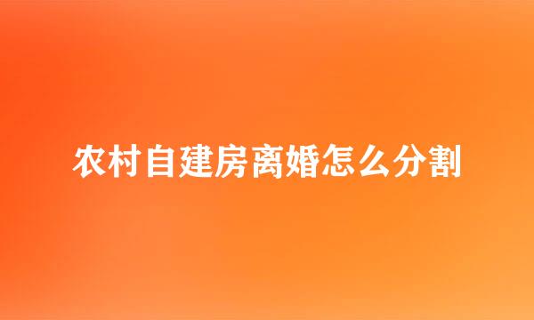 农村自建房离婚怎么分割