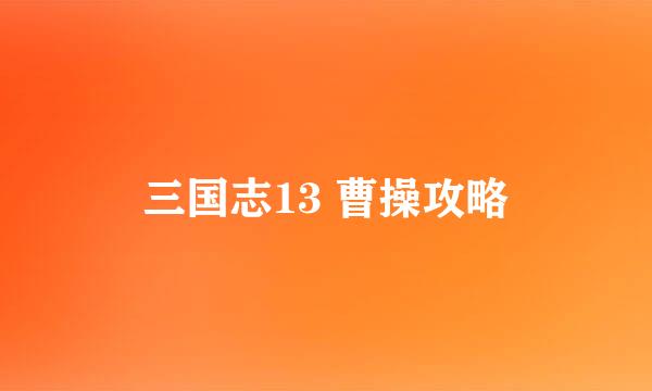 三国志13 曹操攻略