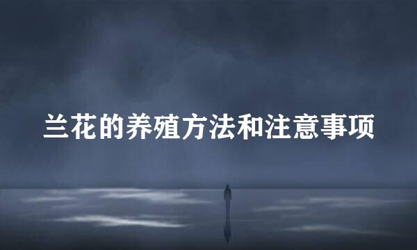 兰花的养殖方法和注意事项