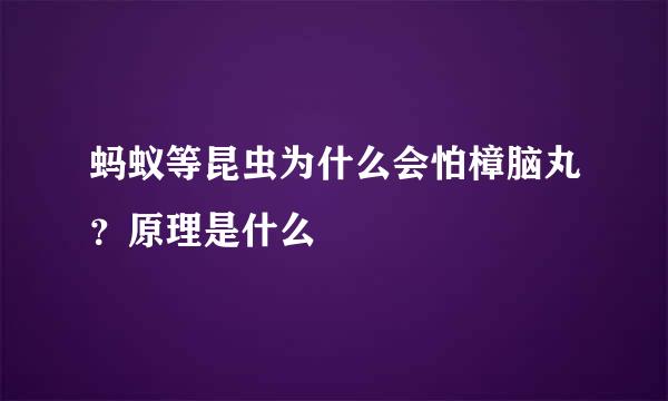 蚂蚁等昆虫为什么会怕樟脑丸？原理是什么