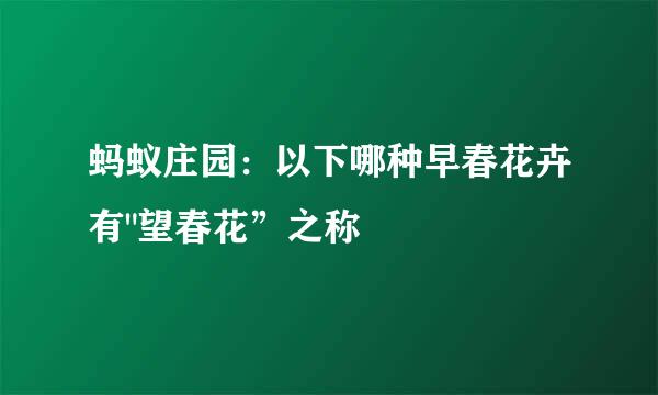 蚂蚁庄园：以下哪种早春花卉有